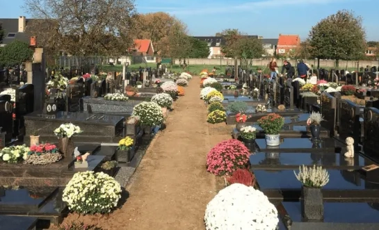 begraafplaats gemeente Herenthout 