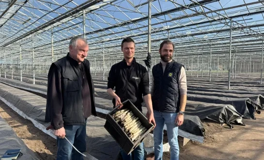 Asperges uit volle grond worden verwacht in maart