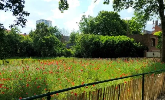 Grooten Singel Turnhout