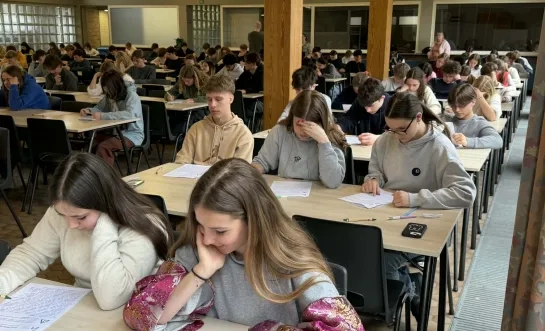 Het Groot Dictee Heilig Hart van Maria Berlaar