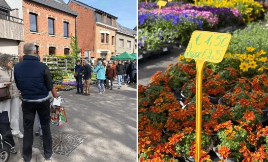 Plantenbeurs Liezele 2026