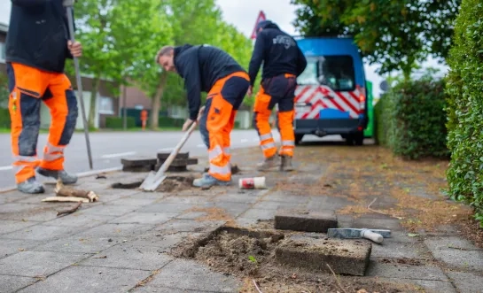 opruimwerken Groot Onderhoud Oud-Oefenplein Donkerlei Mechelen