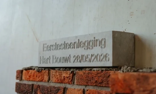 Symbolische steen AZ Mol