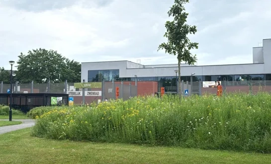 openlucht zwembad zwemmen Geel