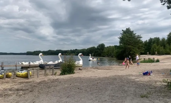 Vijver Sunparks