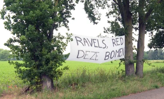 ravels bomen