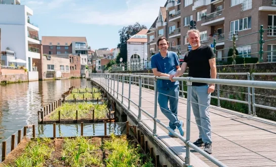 Natuureilanden Binnendijle Mechelen