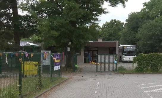 Klimop in Bonheiden