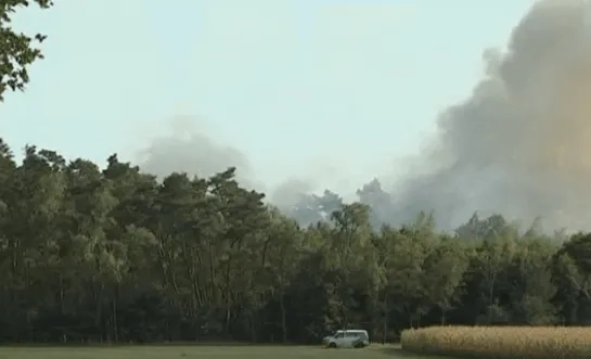 brand de liereman archief