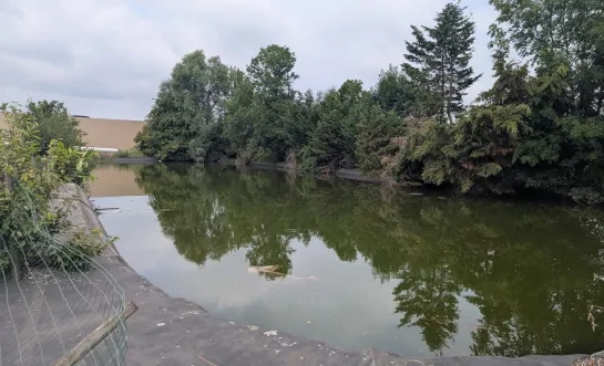 Waterbassin groenteteler Bert De Keyser uit Sint-Katelijne-Waver