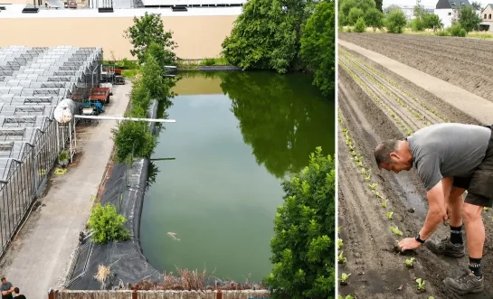 Teler uit Katelijne heeft eigen regenwaterbekken
