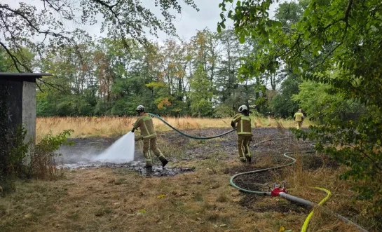 grasbrand droogte Vosselaar