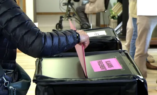 stemmen verkiezingen algemeen