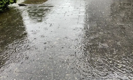 Overvloedige regen in de Kempen