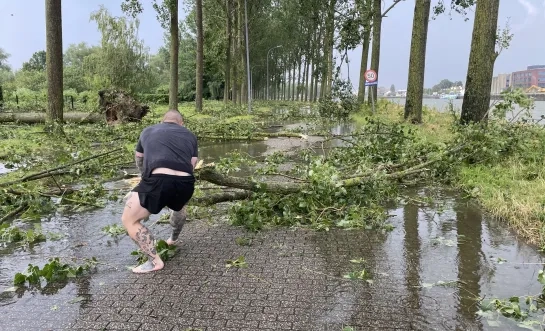 Boom op baan storm Tisselt