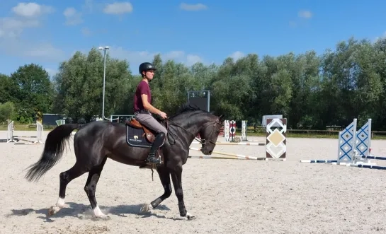 Thibeau Spits Sint-Katelijne-Waver paardensport ruiter