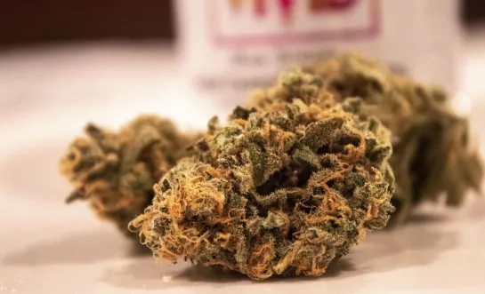 hasj cannabis drugs
