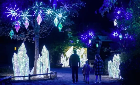Lichtfestival Planckendael Muizen Mechelen