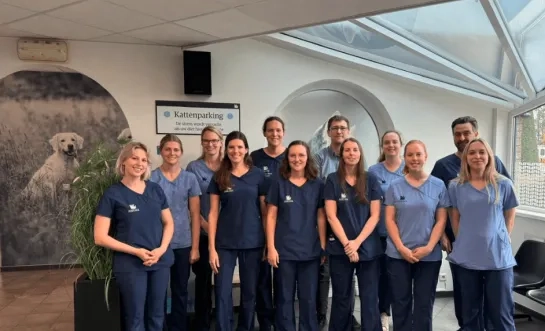 Team Anicura Dierenkliniek 