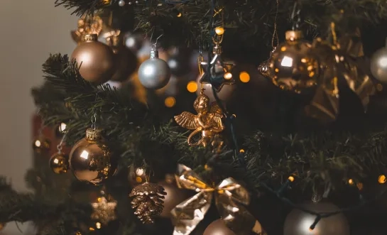 Kerstboom rechtenvrije stockfoto