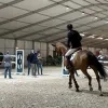 Jos Verlooy Wereldbeker Jumping Mechelen
