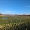 Wetlands in het Mechels Broek in Mechelen