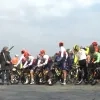 koers zuidkempense pijl wielrennen