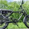 fatbike RTV