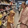 Nore Belmans Pyjamadag Bednet Delhaize Mol