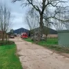 Herenthout stal dieren