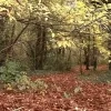 red het speelbos 