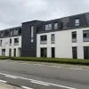 Steekpartij Herenthout