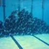 wereldrecord onderwaterpiramide Aronax sportoase Heist-op-den-Berg