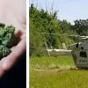 Compilatie archief cannabis/politiehelikopter