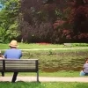 Vrijbroekpark Mechelen 