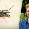 Beeldmontage RTV - rechtenvrije stockfoto/Rik Brabants