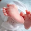 sterrenregister baby rechtenvrij.