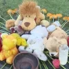 knuffels dodelijk ongeval heist
