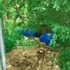 vaatjes gedumpt