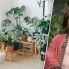 Beeldmontage RTV - rechtenvrije stockfoto/Paulien Cloots