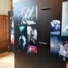 Expo 25 jaar Gladiolen