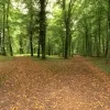 stad geel natuurbegraafplaats 