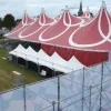 gladiolen 2025 
