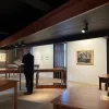 Emile Verhaerenmuseum Frans Masereel Sint-Amands tentoonstelling