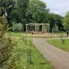 Nieuw bos in stadspark