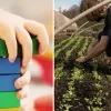 armoede kinderen landbouw energie milieu 