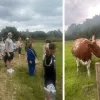 Schijt je rijk in Bevel