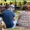 Boterhammen in ons park