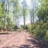 Natuurgebied de warande in Mechelen