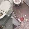 vandalisme lille compilatie